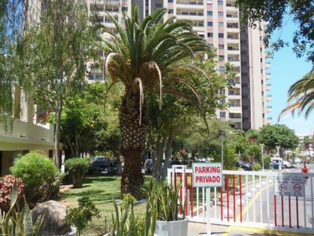 Ocean House & Perfect For You Costa Adeje  Εξωτερικό φωτογραφία