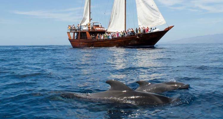 Ocean House & Perfect For You Costa Adeje  Εξωτερικό φωτογραφία
